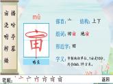 部编语文五年级上册2 落花生生字笔顺课件