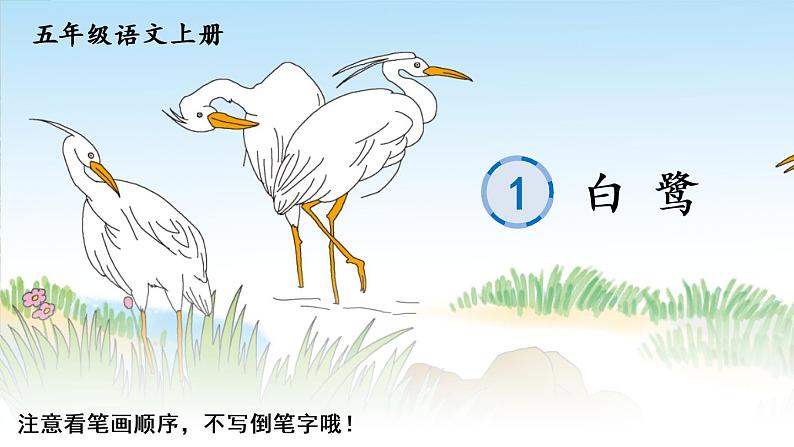部编语文五年级上册1 白鹭生字笔顺课件第1页
