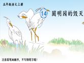 部编语文五年级上册14 圆明园的毁灭生字笔顺课件