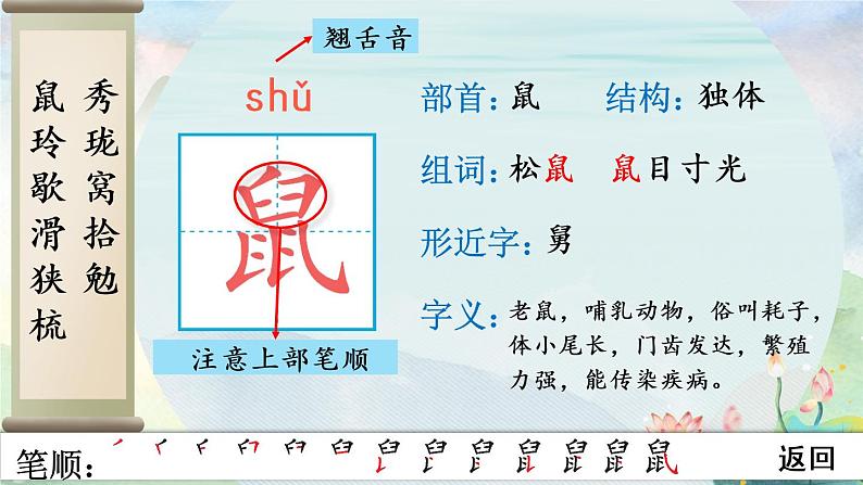 部编语文五年级上册17 松鼠生字笔顺课件第3页