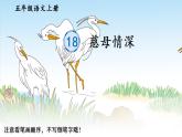 部编语文五年级上册18 慈母情深生字笔顺课件