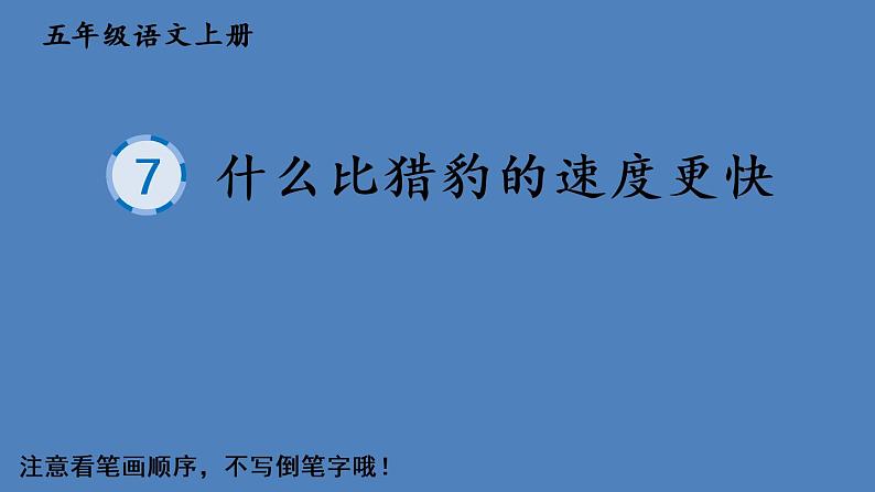 部编语文五年级上册7 什么比猎豹的速度更快生字教学课件01