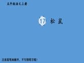 部编语文五年级上册17 松鼠生字教学课件