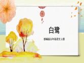 部编版语文五年级上册《白鹭》课件PPT+教案