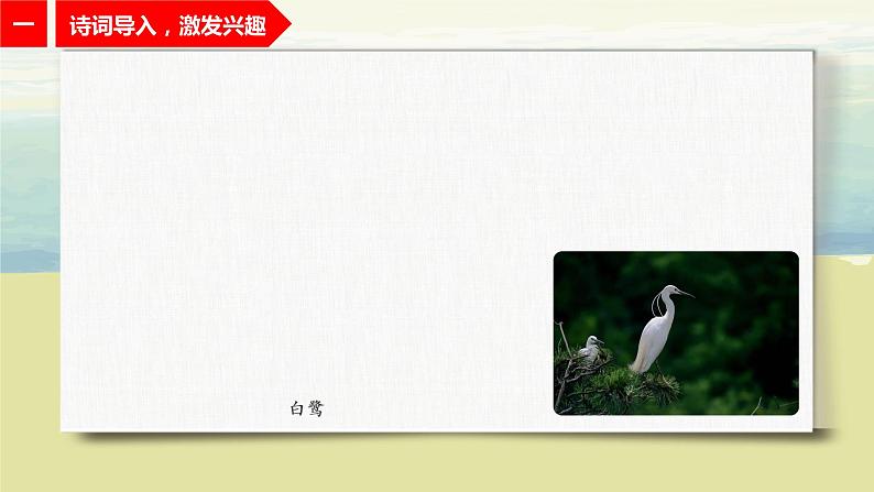 1.1《白鹭》课件+教案+练习03