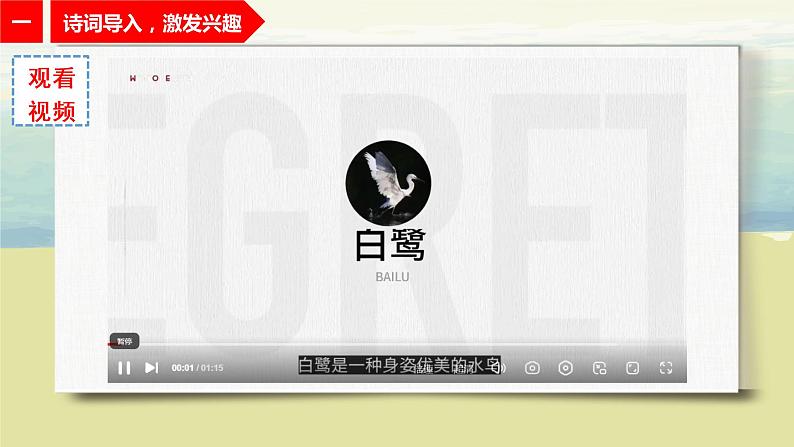 1.1《白鹭》课件+教案+练习04