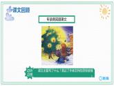 【三海教育】部编版语文三上-8.卖火柴的小女孩+第2课时【优质课件】