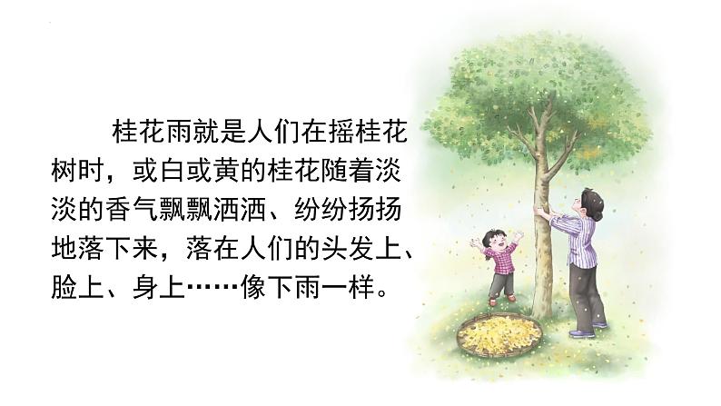 3桂花雨（课件） 部编版语文五年级上册第6页