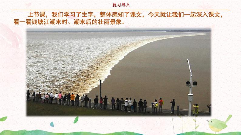 部编版语文四年级上册《观潮》第二课时课件PPT+教案04