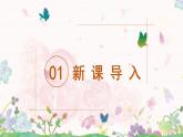 部编版三年级语文上册《大青树下的小学》课件PPT+教案+练习