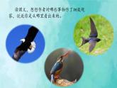 部编版语文三年级上册 教学课件_搭船的鸟2