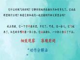 部编版语文三年级上册 教学课件_搭船的鸟2