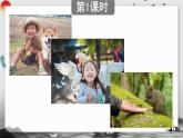 部编版语文三年级上册 教学课件_搭船的鸟3