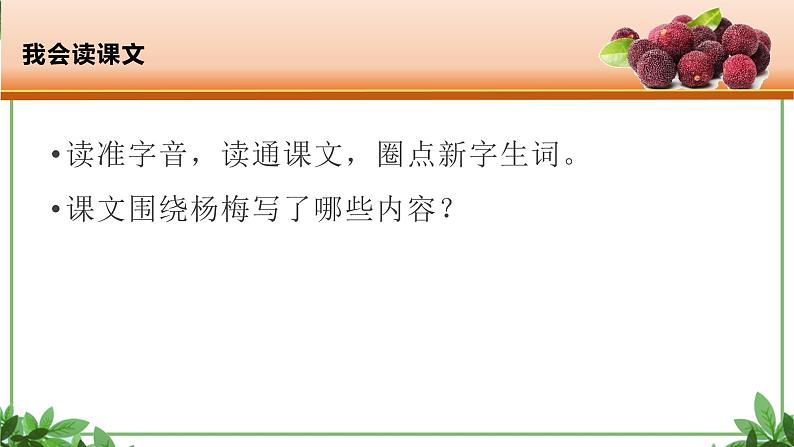 部编版语文三年级上册 教学课件_第五单元习作例文 我爱故乡的杨梅303