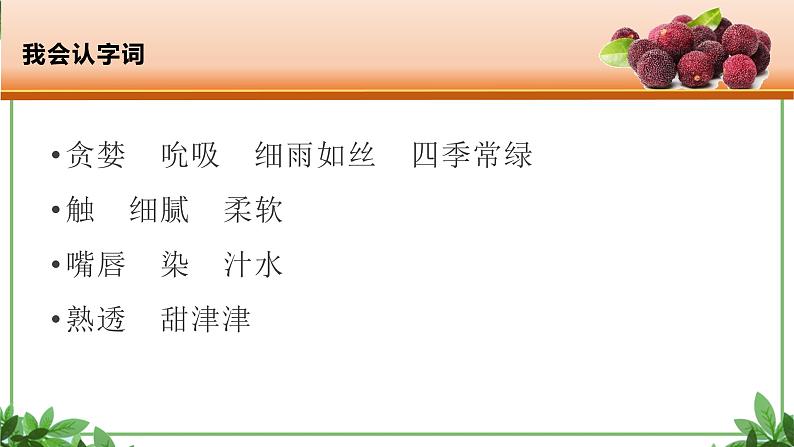 部编版语文三年级上册 教学课件_第五单元习作例文 我爱故乡的杨梅304