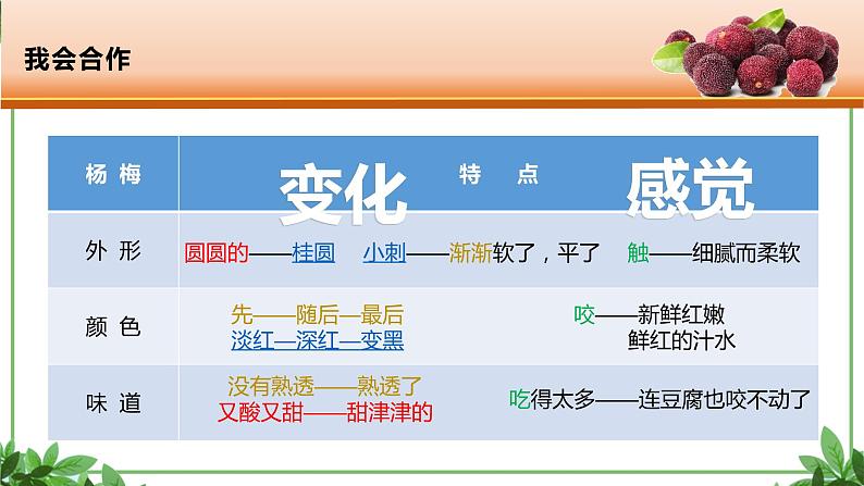 部编版语文三年级上册 教学课件_第五单元习作例文 我爱故乡的杨梅306