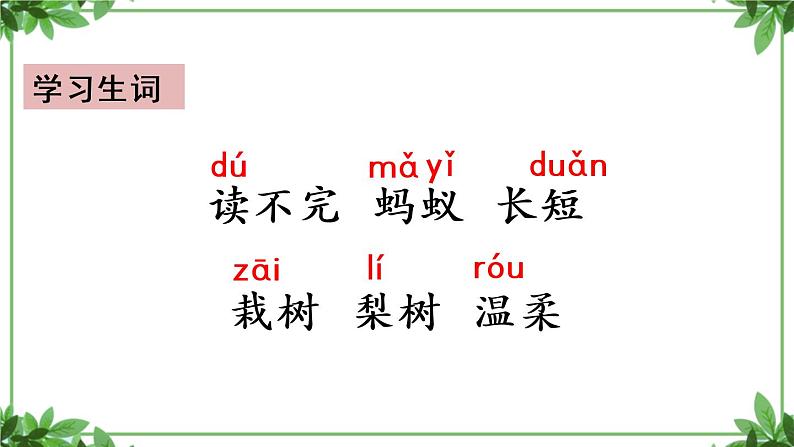 部编版语文三年级上册 教学课件_读不完的大书2第6页