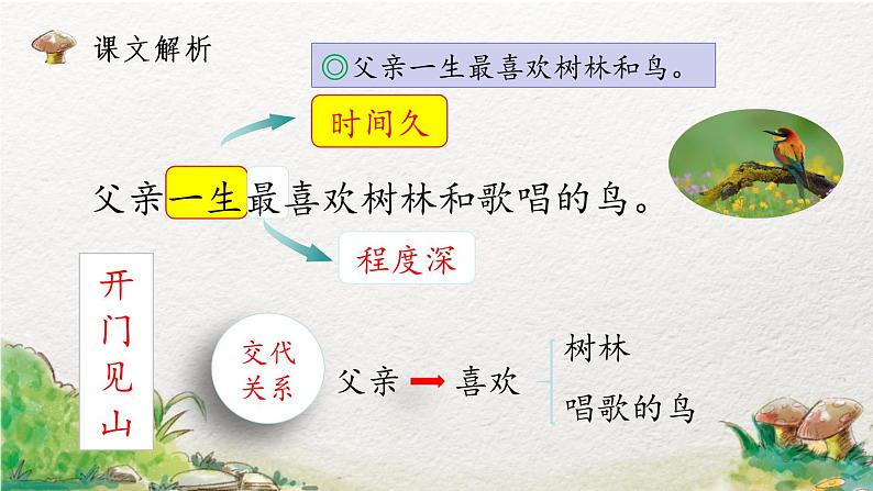 部编版语文三年级上册 教学课件_父亲、树林和鸟1（第2课时）03