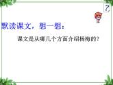 部編版語文三年級上冊 教學(xué)課件_第五單元習(xí)作例文 我愛故鄉(xiāng)的楊梅1