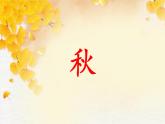 部编版语文三年级上册 教学课件_秋天的雨2（第1课时）