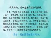 部编版语文三年级上册 教学课件_秋天的雨2（第2课时）