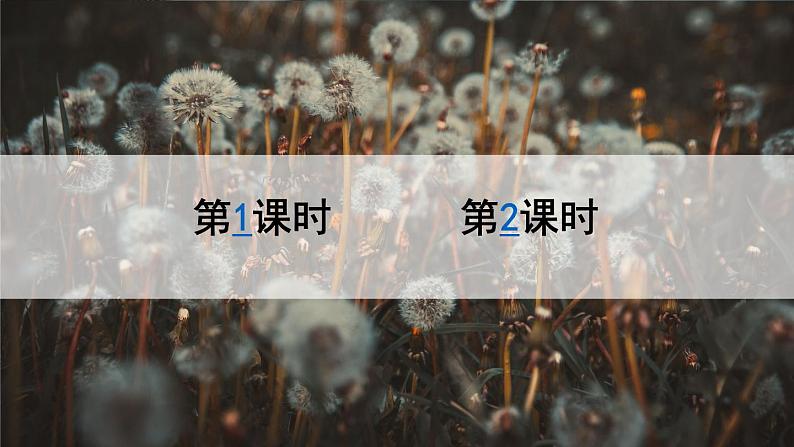 部编版语文三年级上册 教学课件_金色的草地301