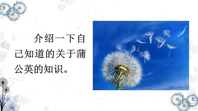 部编版语文三年级上册 教学课件_金色的草地303