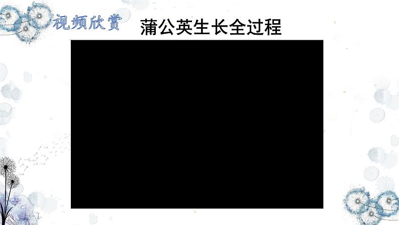 部编版语文三年级上册 教学课件_金色的草地304