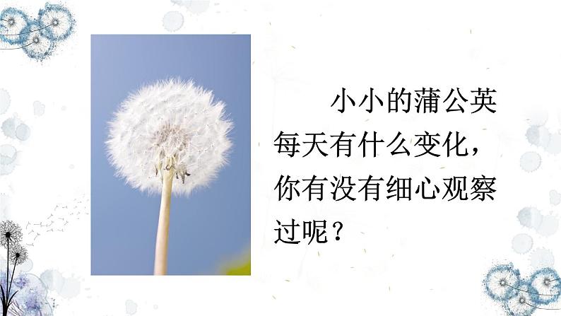 部编版语文三年级上册 教学课件_金色的草地306