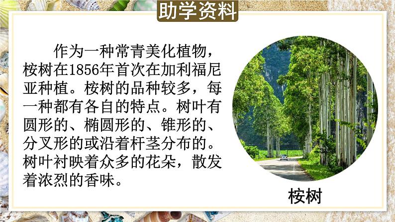 部编版语文三年级上册 教学课件_海滨小城3第6页