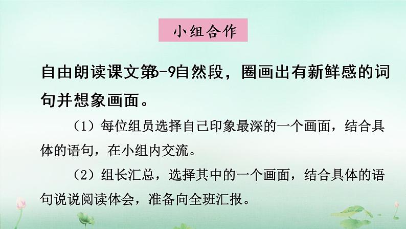 部编版语文三年级上册 教学课件_花的学校1（第2课时）05