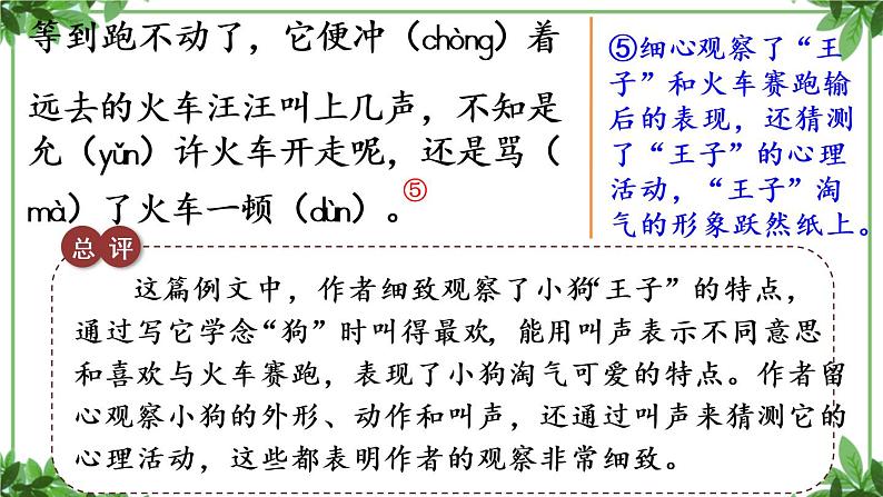 部编版语文三年级上册 教学课件_第五单元习作例文 我家的小狗107