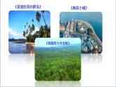 部编版语文三年级上册 教学课件_语文园地六4