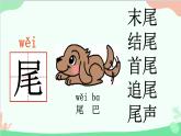 小学语文一年级上册6 比尾巴 课件6
