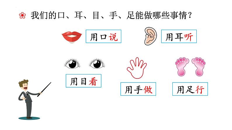 部编版语文一年级上册3《口耳目》（课件）07