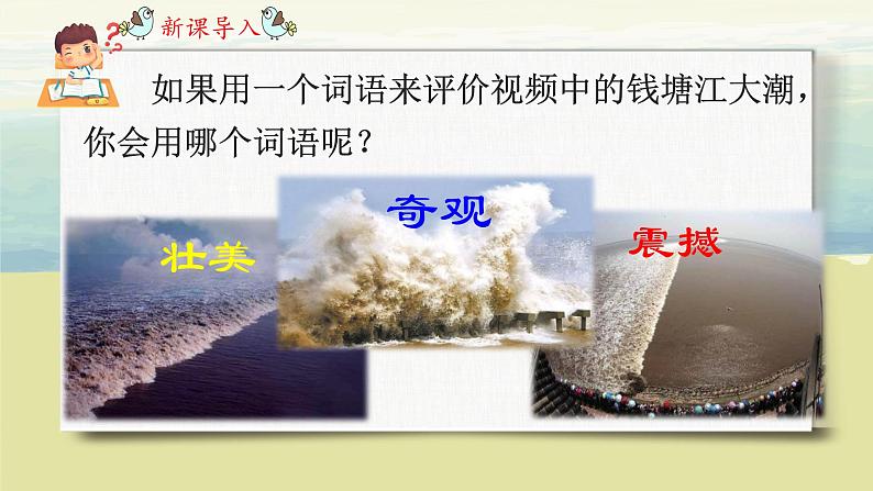 部编版语文四上1.《观潮》课件+教案+素材03