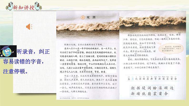 部编版语文四上1.《观潮》课件+教案+素材08