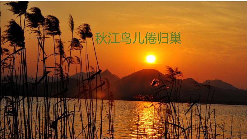 3.《现代诗二首》课件+教案+练习+音频06