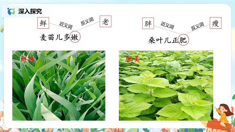《田家四季歌》第一课时课件第8页