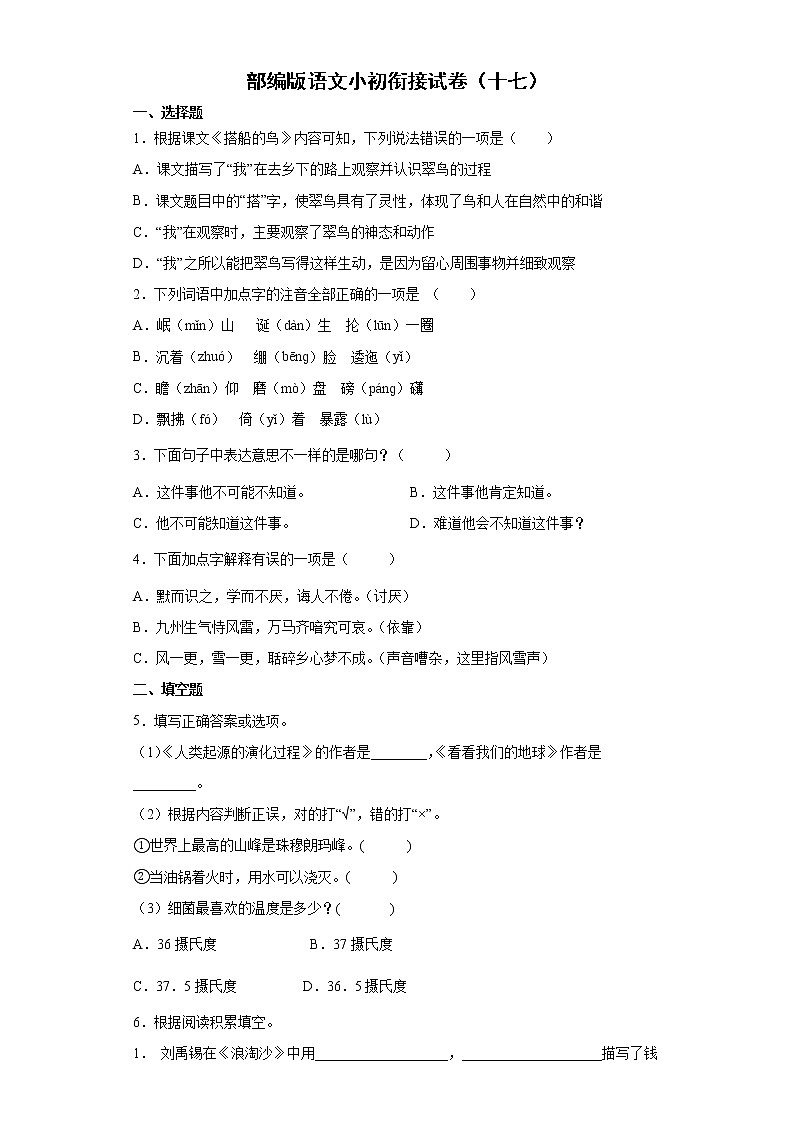 部编版语文小初衔接试卷（十七）第1页