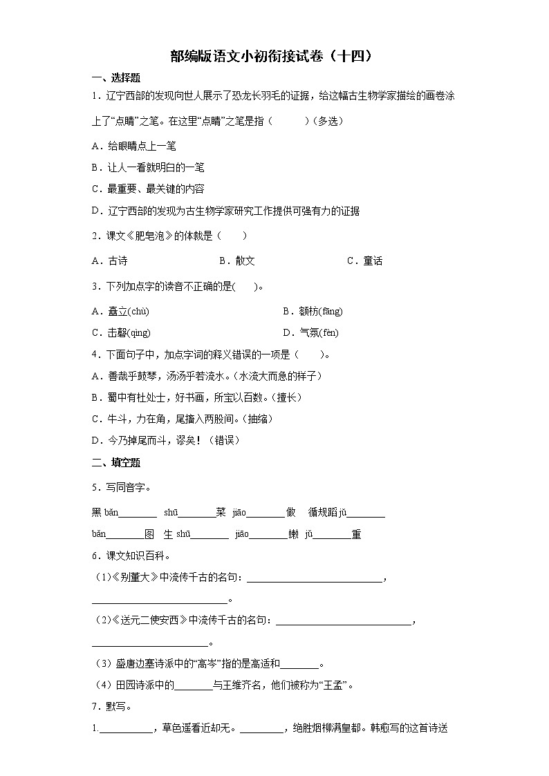 部编版语文小初衔接试卷（十四）第1页