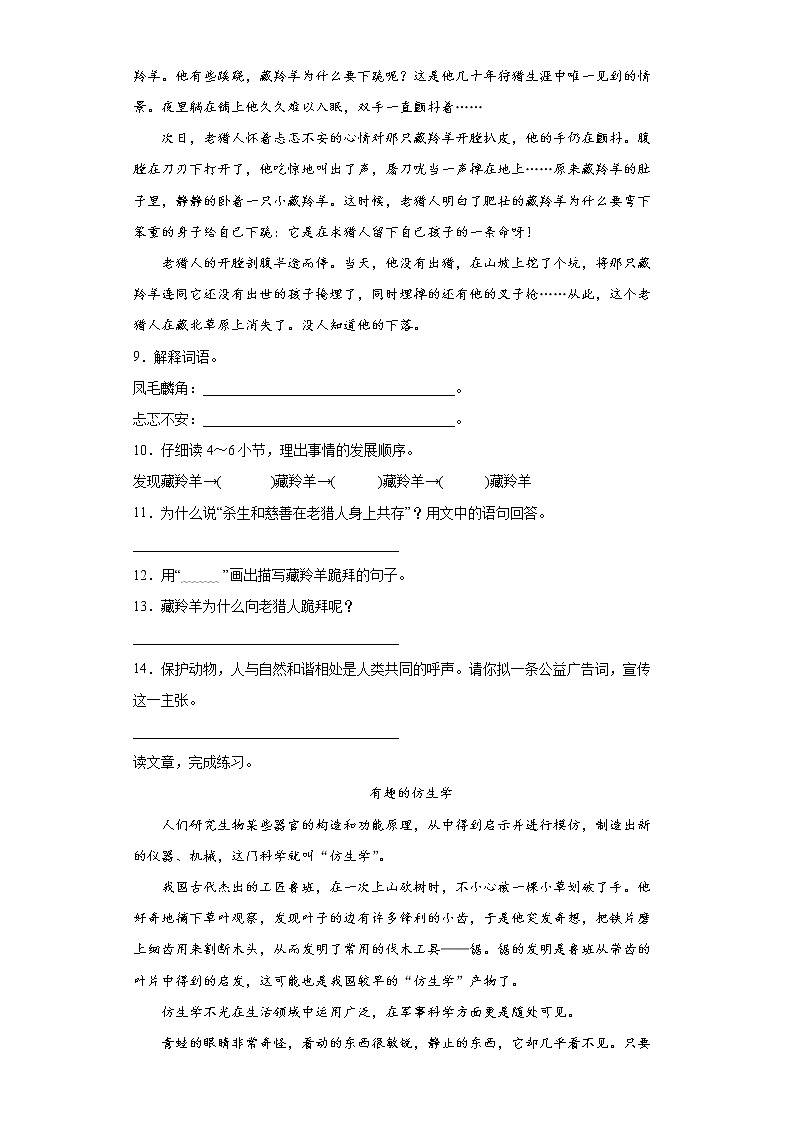 部编版语文小初衔接试卷（十四）第3页