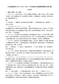 山东省潍坊市三年（2020-2022）小升初语文卷真题分题型分层汇编-07作文