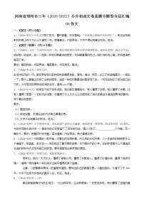 河南省郑州市三年（2020-2022）小升初语文卷真题分题型分层汇编-06作文