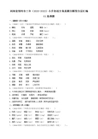 河南省郑州市三年（2020-2022）小升初语文卷真题分题型分层汇编-01选择题