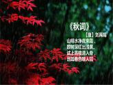 【精品】四年级上册语文课件-3.秋晚的江上-部编版