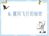 【精品】四年级上册语文课件-6.夜间飞行的秘密第二课时-部编版