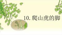 小学语文人教部编版四年级上册10 爬山虎的脚评课课件ppt