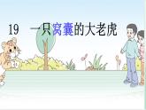 四年级语文上册-19一只窝囊的大老虎第一课时-部编版 课件