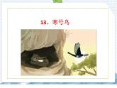 部编版语文二年级上册 第13课  寒号鸟（课件）